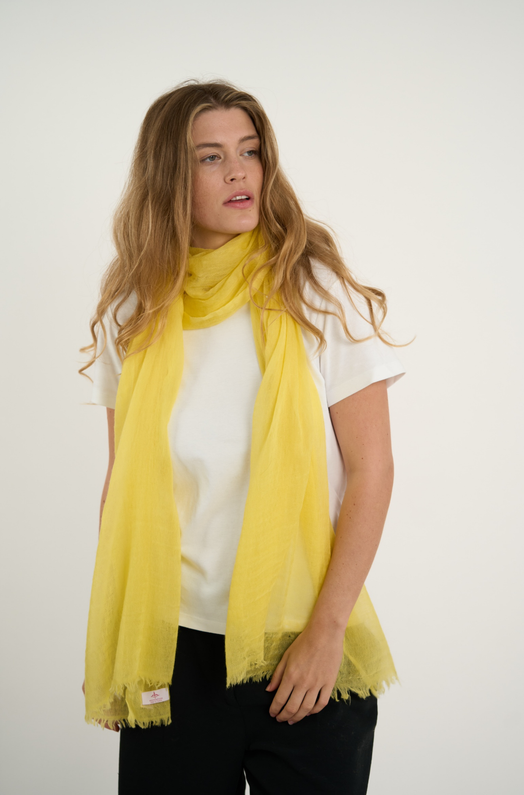 Quiet Luxury Yellow Kasper