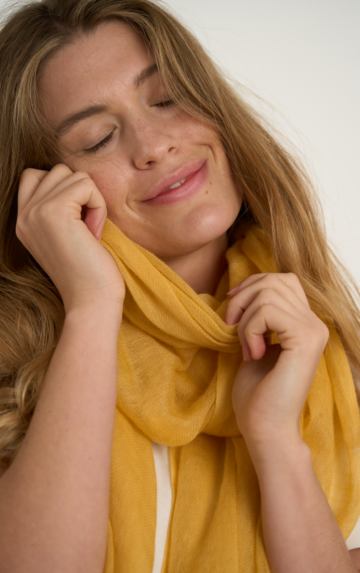 Quiet Luxury Cornsilk